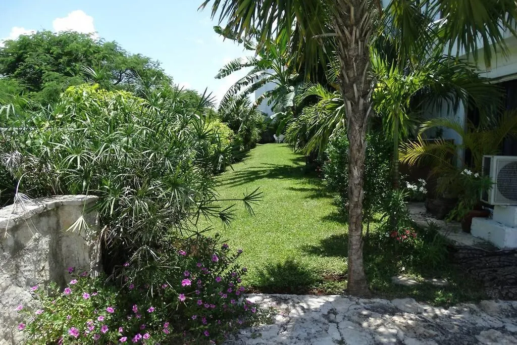 Apartamento Sole & Mare By Andiani Travel Cancún 0*,